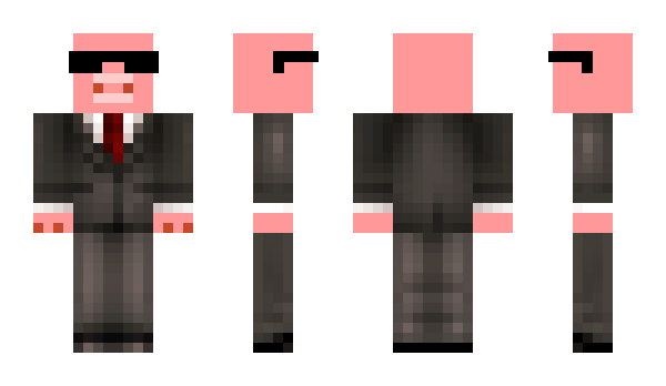 Minecraft skin enderpig8