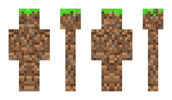Minecraft skin tor0405