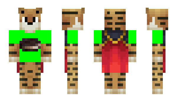 Minecraft skin aris145