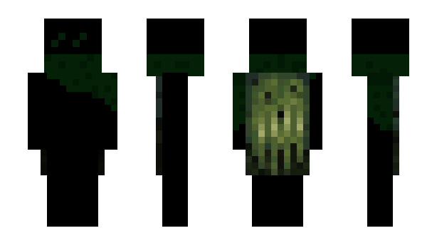 Minecraft skin 823o