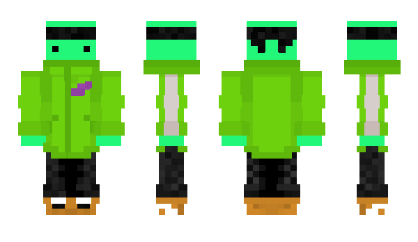 Minecraft skin _Bib