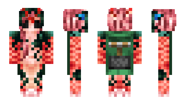 Minecraft skin Edo