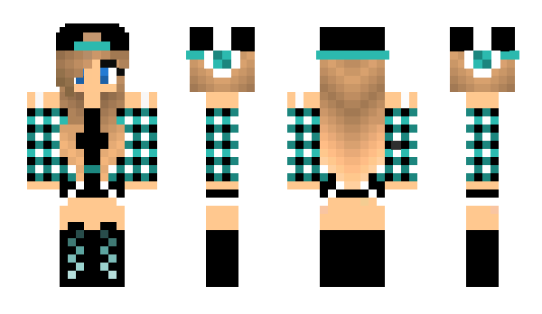 Minecraft skin Assassin_Cris