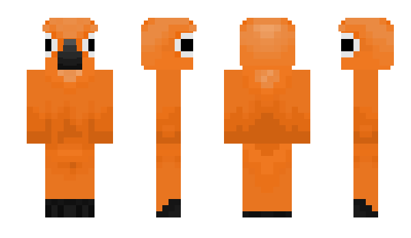 Minecraft skin Parrotxy