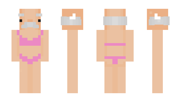 Minecraft skin llamine