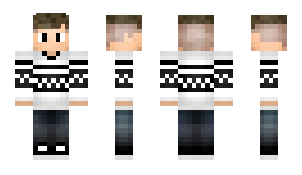 Minecraft skin Vectarector