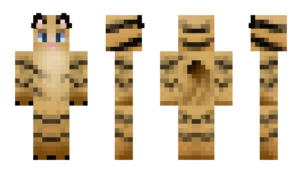 Minecraft skin Sandyca