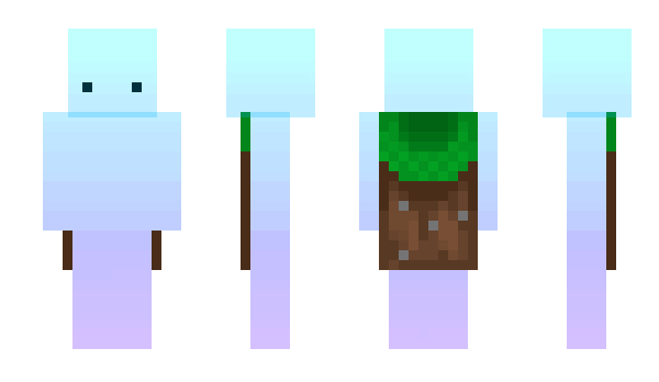 Minecraft skin shingr