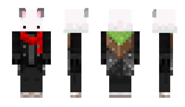 Minecraft skin blackandwite