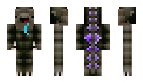 Minecraft skin Draxxp