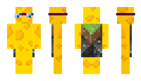 Minecraft skin Thecheese