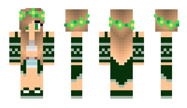 Minecraft skin Titotevez