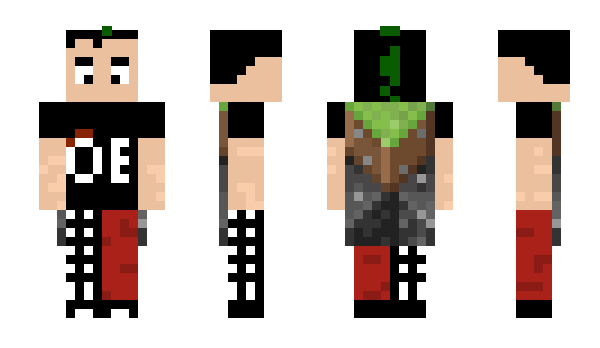 Minecraft skin Tpuch