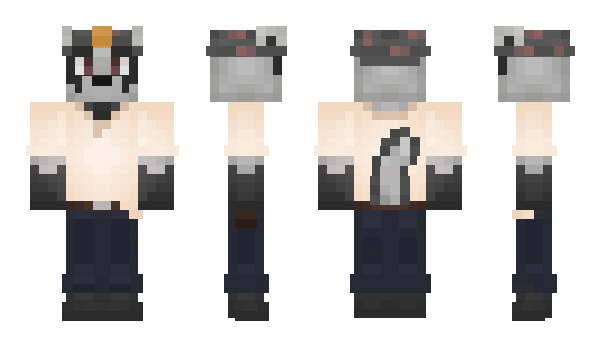 Minecraft skin Niword