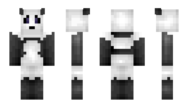 Minecraft skin Pandyn