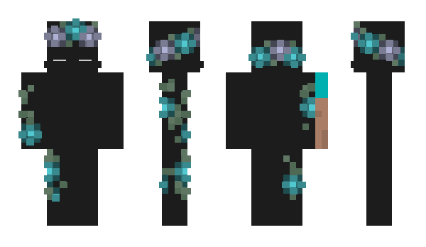 Minecraft skin INeedaNick