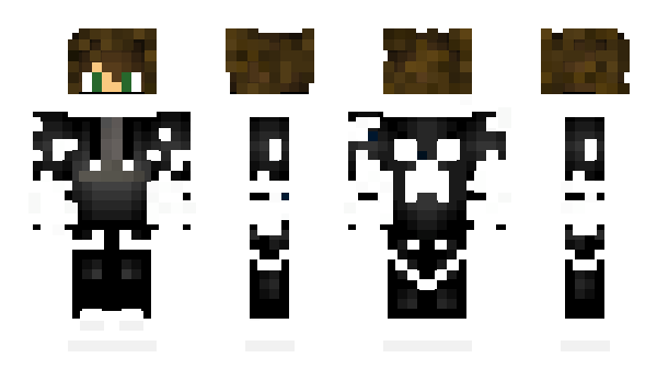 Minecraft skin domemon