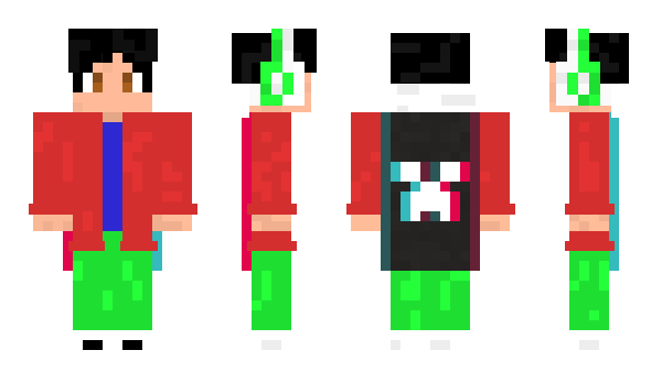 Minecraft skin SELDET