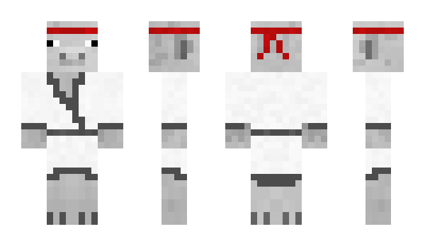 Minecraft skin Petworker