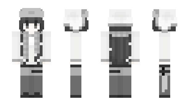 Minecraft skin seinmi