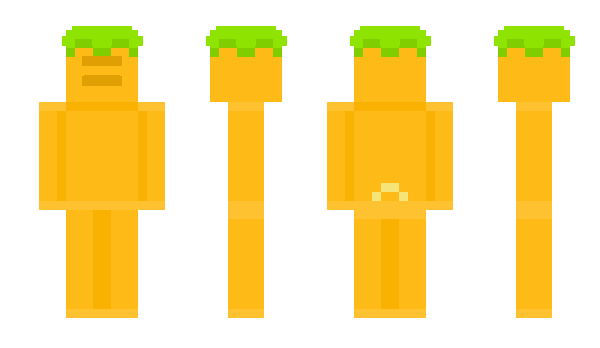 Minecraft skin Carroter4