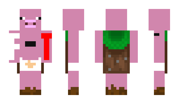 Minecraft skin bobroswin0014