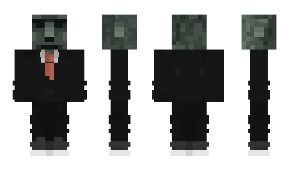 Minecraft skin PLDA