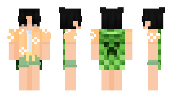 Minecraft skin Brigante