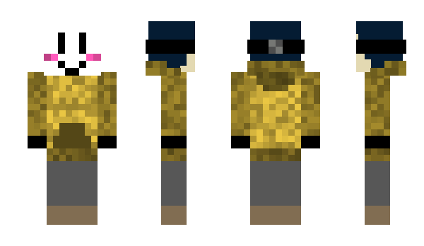 Minecraft skin DrEmKi