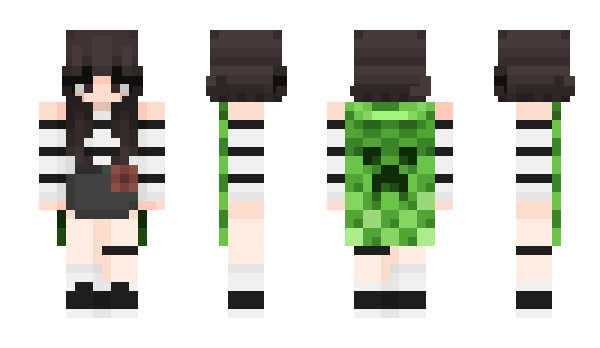 Minecraft skin SemiProfissional