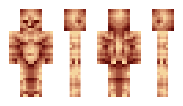 Minecraft skin stebbilust