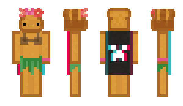 Minecraft skin Transpitooo