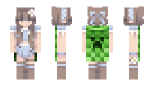 Minecraft skin D9si