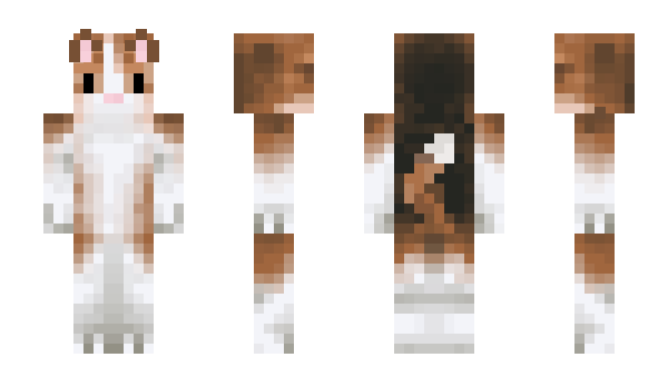 Minecraft skin Silttak