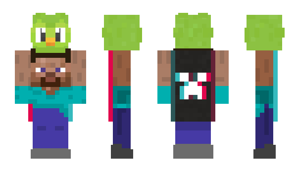 Minecraft skin brunofas