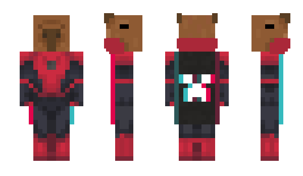 Minecraft skin Zarpamc