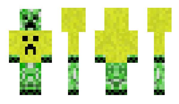 Minecraft skin bearydum
