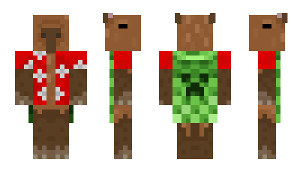 Minecraft skin LAPUX