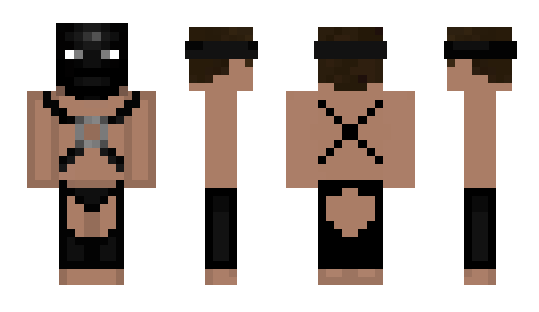 Minecraft skin DjDoge01