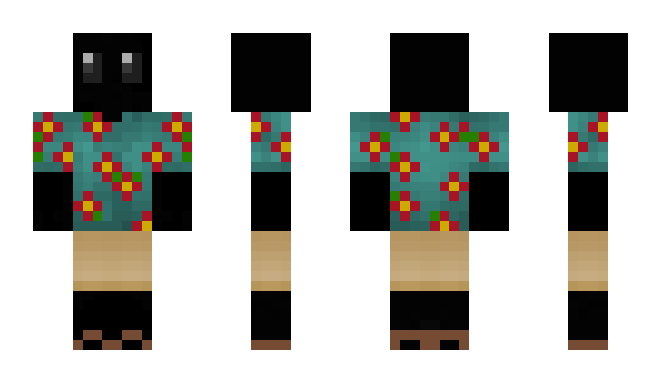 Minecraft skin DarderSH