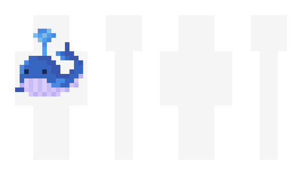 Minecraft skin wiich