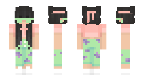 Minecraft skin Tigard