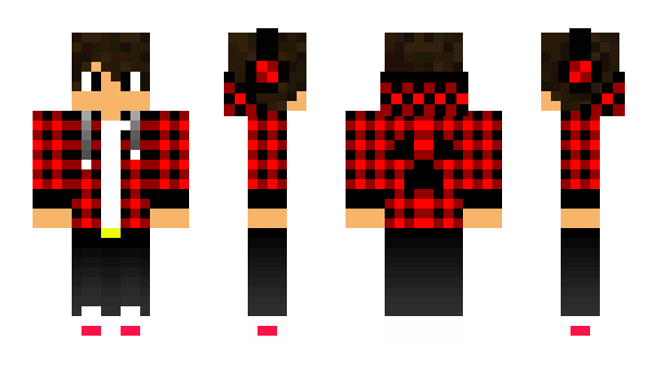 Minecraft skin dominnicho