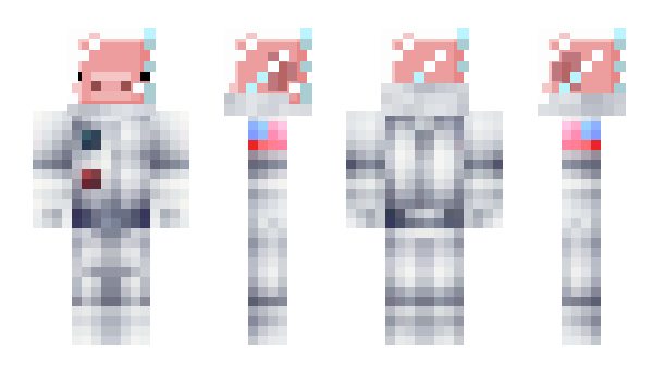 Minecraft skin dashpigg