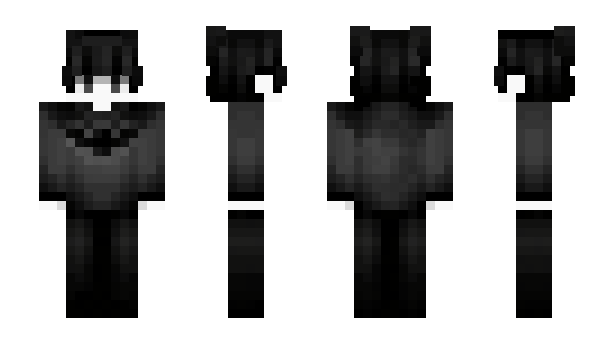 Minecraft skin FLZK