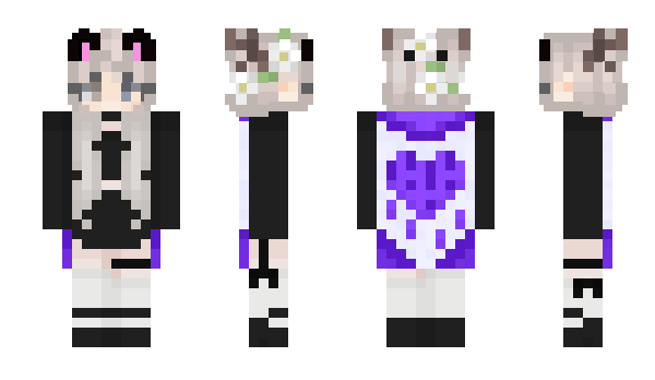 Minecraft skin asasinBTR