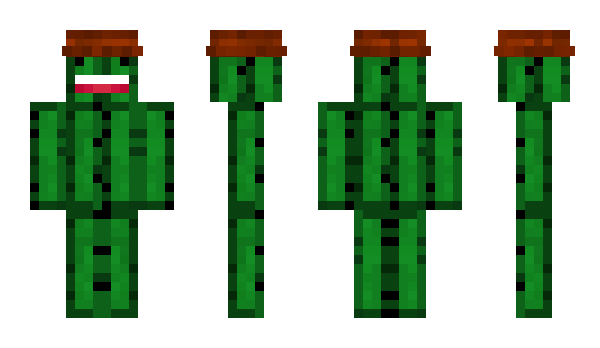 Minecraft skin CactusViking