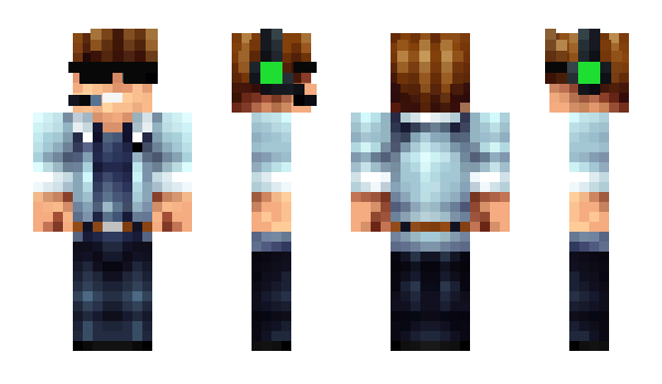 Minecraft skin Vermount