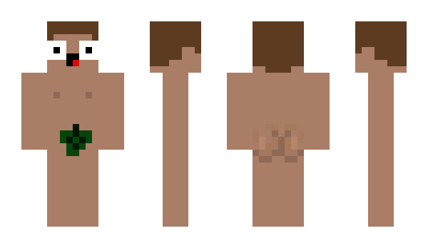 Minecraft skin ElyfaPL