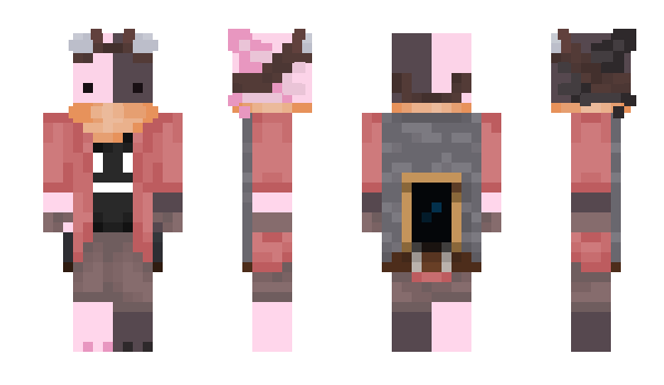 Minecraft skin Nindzi